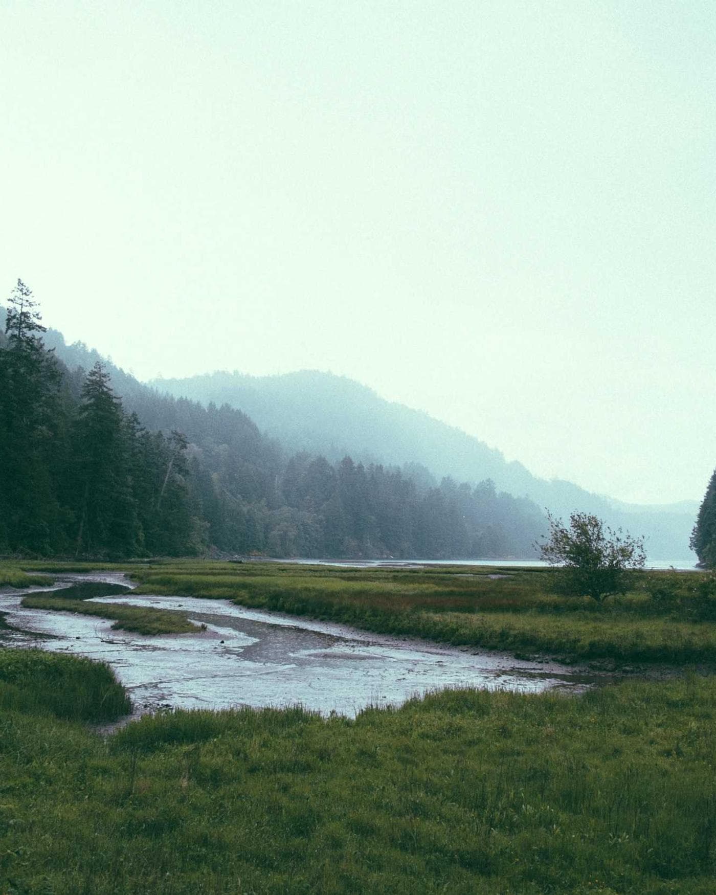 Volume set — Jasmine