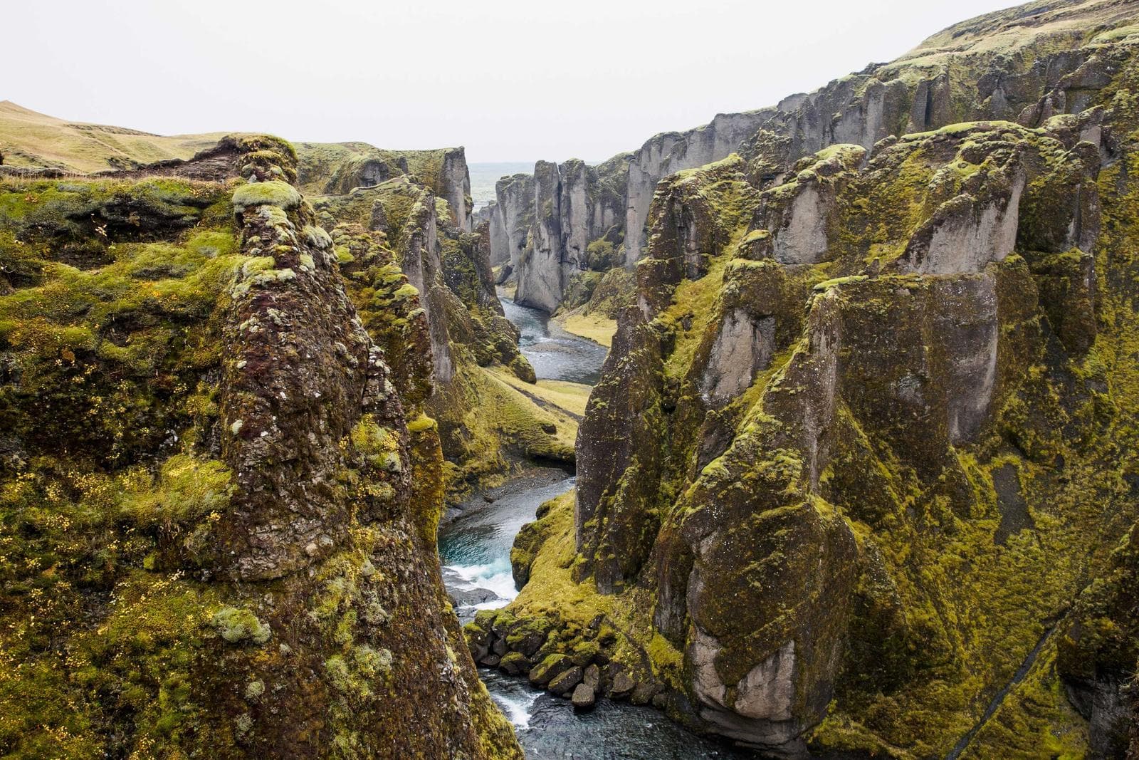 Concert Tour Cover